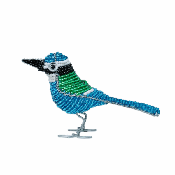 Zijkant blauwe vogel