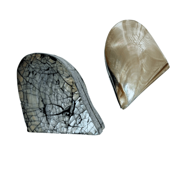 boven- en achterkant brons schelpendoos sieraden