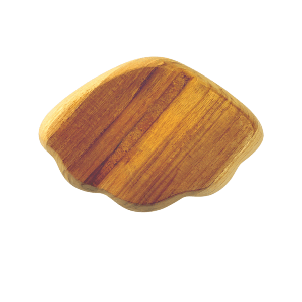 achterkant teak abalone schaaltje