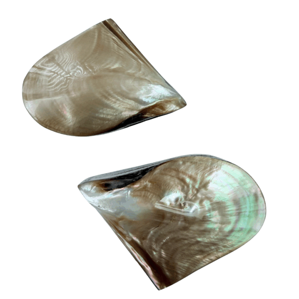bovenkant brons schelpendoos sieraden