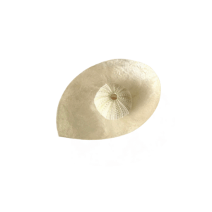 parelmoer schelp schaaltje met decoratie