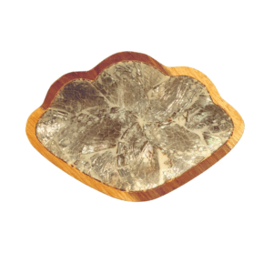 abalone-schaaltje-teakhout-close-up.jpg