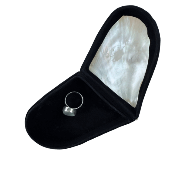 fluwelen binnenkant schelp brons sieradendoos met ring