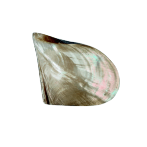 close-up schelp brons sieradendoosje