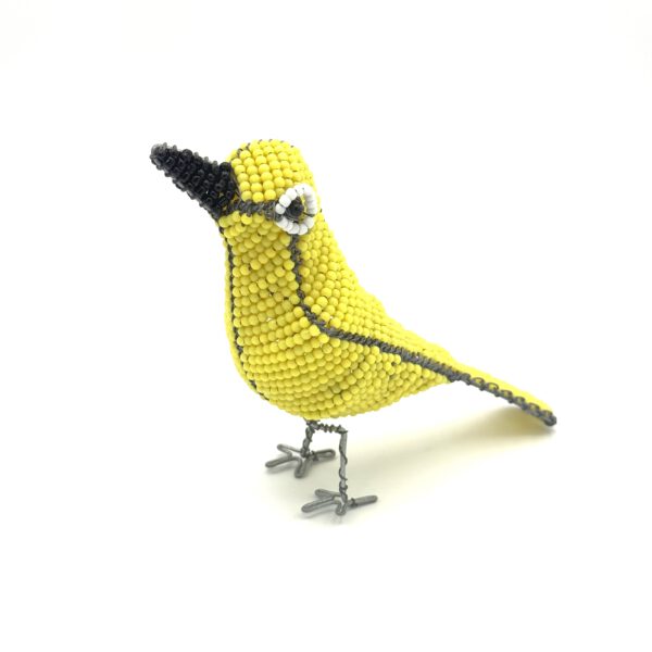 close-up-gele vogel