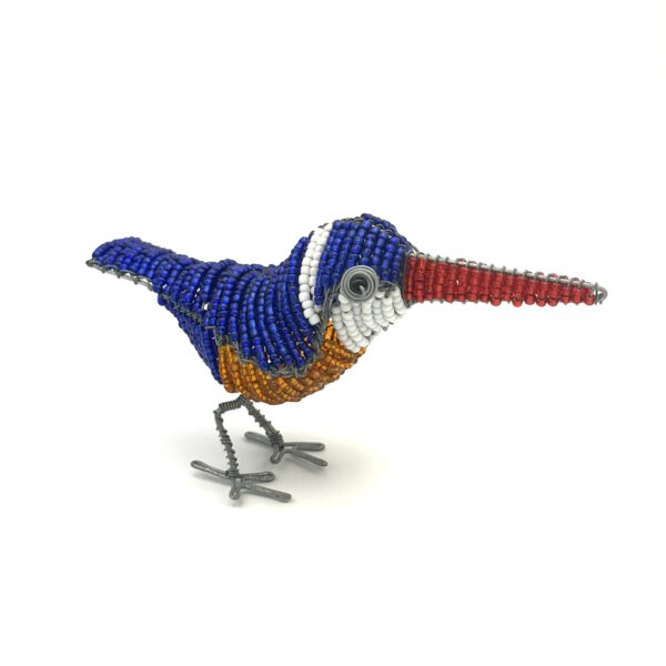 Close-up ijsvogel donkerblauw