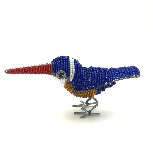 Close-up zijkant IJsvogel donkerblauw