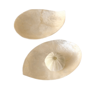 Set van 2 Schaaltjes Capiz Schelp