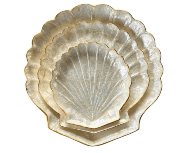 schelp met goudrand small, medium en large