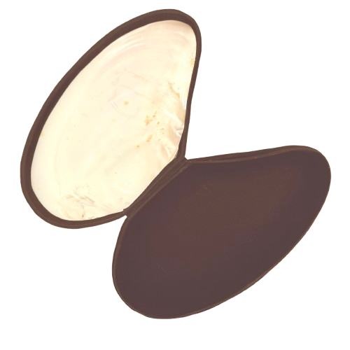 Binnenkant van de grote mossel sieradendoos XL met zwarte fluwelen bekleding voor het stijlvol opbergen van sieraden.