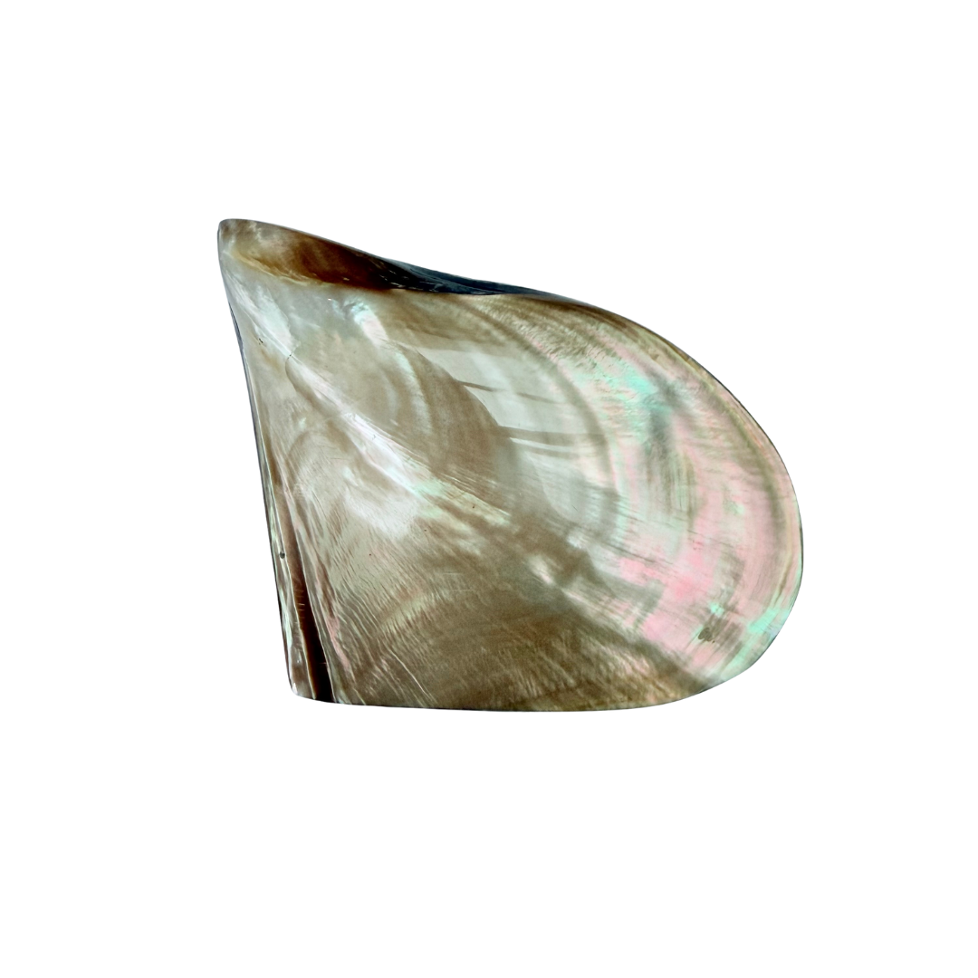 sieradendoos schelp brons