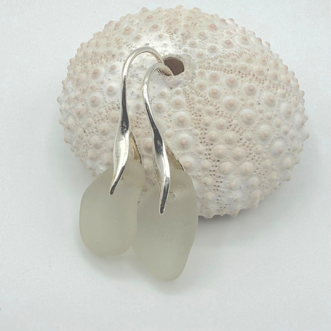 Witte zeeglas oorbellen met zilveren oorhaakjes aan een zeeegel schelp