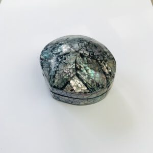 Bovenkant van sieradendoosjes met abalone schelppatroon